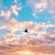 おさきの画像