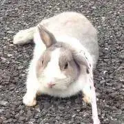 ♡ プロフ必読の画像
