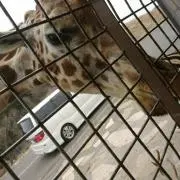 リュウジ