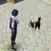 ダッシュUの画像