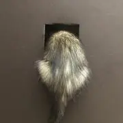 もんもん