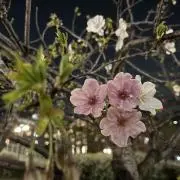うしゃまるの画像