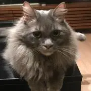 HiroMiiの画像