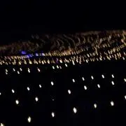 ちひろ❤フォロー割セール開催 プロフ必読