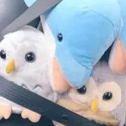 ちか
