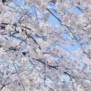 Aya【フォロー割実施中】の画像