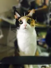 かんちゃん★プロフ必読の画像
