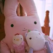 ゆっちの画像