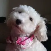 macopi❣の画像