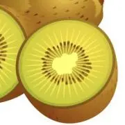 ビタミンの画像