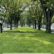 soyokaze ２４時間発送中‼️の画像