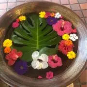 sakurakoの画像