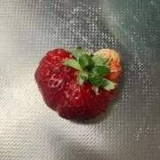 にんげんの画像
