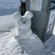 あみたん