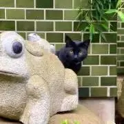 Image of ヘミヘミ