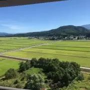 yu_yuの画像