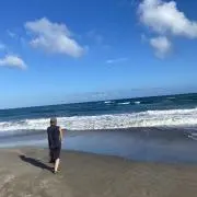 ボボの画像