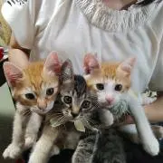 9needles発送遅れますの画像