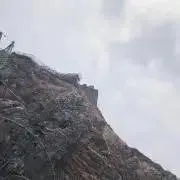 ゐ！《プロフ必読》の画像