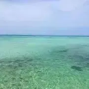 Bii 到着についてプロフご確認お願いの画像