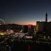 ベガ男の画像