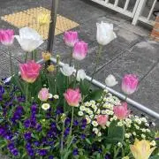 花