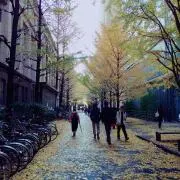 pikkeの画像