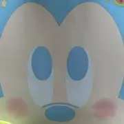 まめちゃんの画像