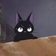 jiji