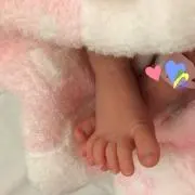 ゆきねこの画像