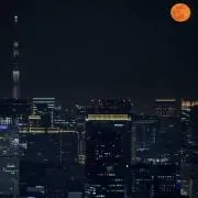 フラミンゴ