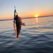 fishing junkieの画像