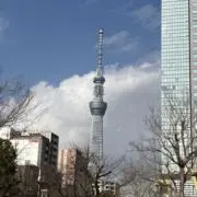 青マーブルの画像