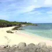 mariの画像