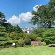 おもちの画像