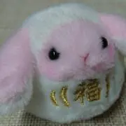 しろうさ