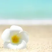 まるちーずの画像