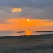 檸檬(レモン)