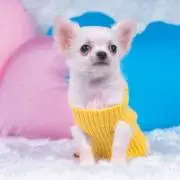 R_aei♡☻プロフ確認お願いしますの画像