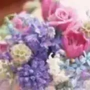 Aimの画像