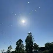 隣りのメイ♪＊の画像