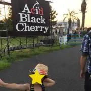しぽん
