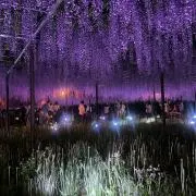 リスキー！の画像