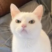 火星