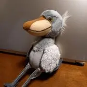 シノエツの画像