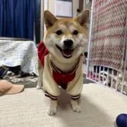 nagitakaの画像