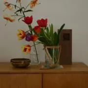 amiの画像