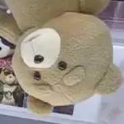 tedの画像