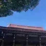 kikiの画像