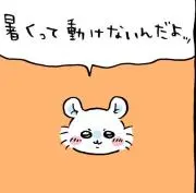 あゆりんごの画像
